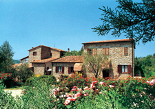 Italy-Tuscany-Relaxed Tuscan Ride in Maremma
